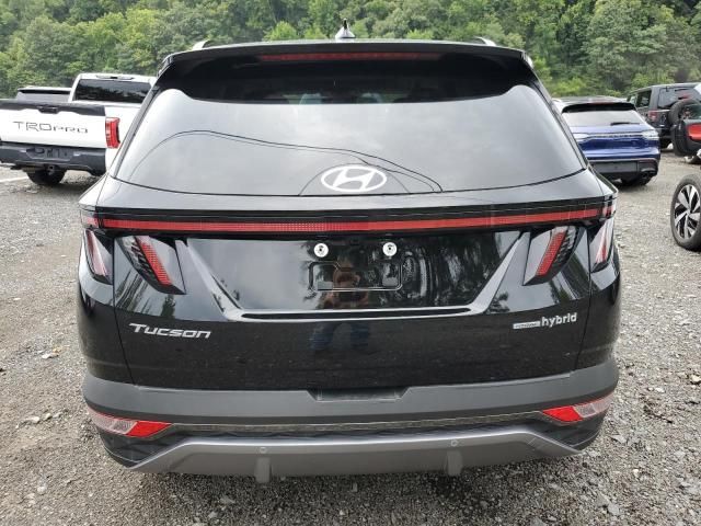 2024 Hyundai Tucson Limited