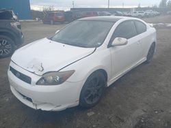 Scion salvage cars for sale: 2008 Scion TC