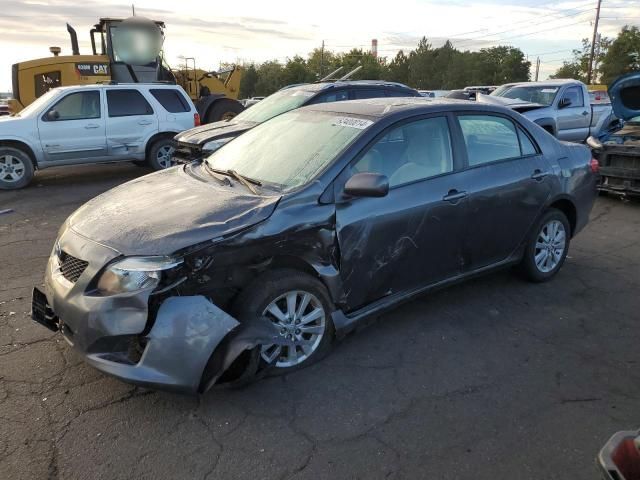 2010 Toyota Corolla Base