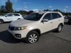 2011 KIA Sorento Base