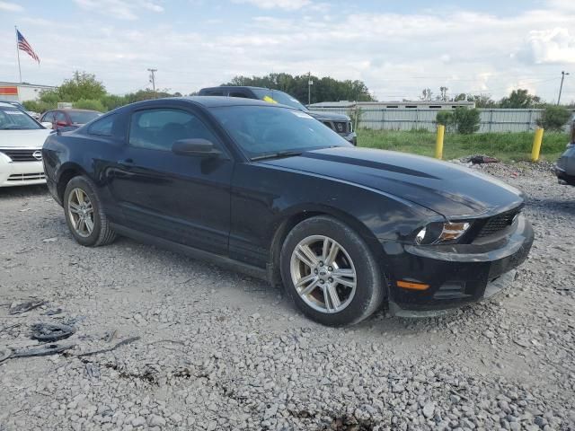 2010 Ford Mustang