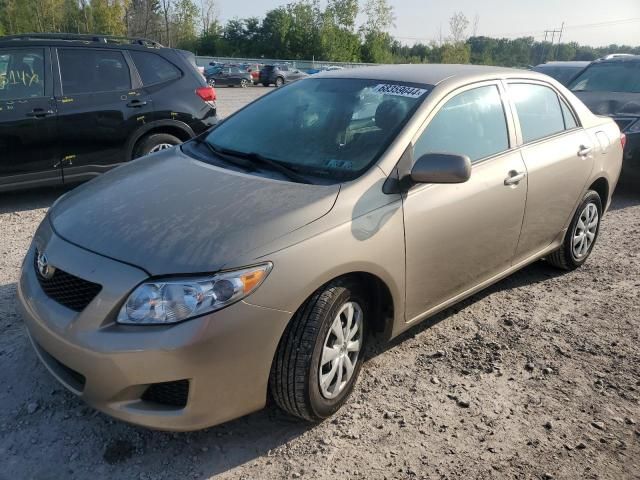 2010 Toyota Corolla Base