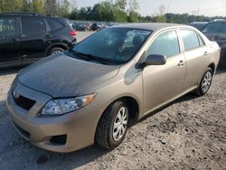 Toyota Corolla salvage cars for sale: 2010 Toyota Corolla Base