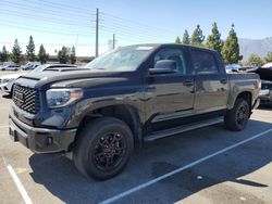 Toyota Tundra salvage cars for sale: 2019 Toyota Tundra Crewmax SR5