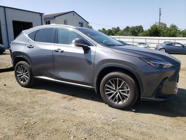 2023 Lexus NX 350