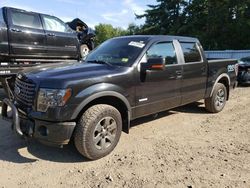 Ford f-150 salvage cars for sale: 2011 Ford F150 Supercrew