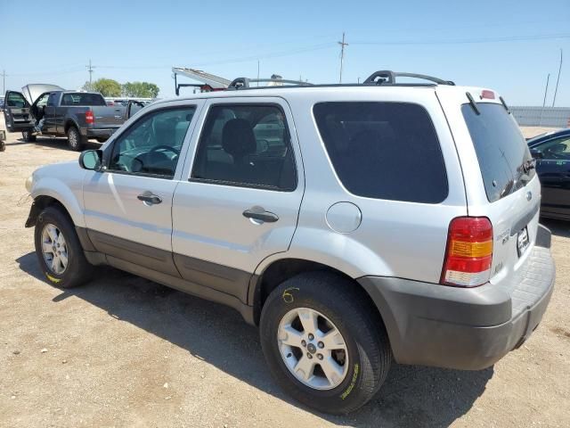 2007 Ford Escape XLT