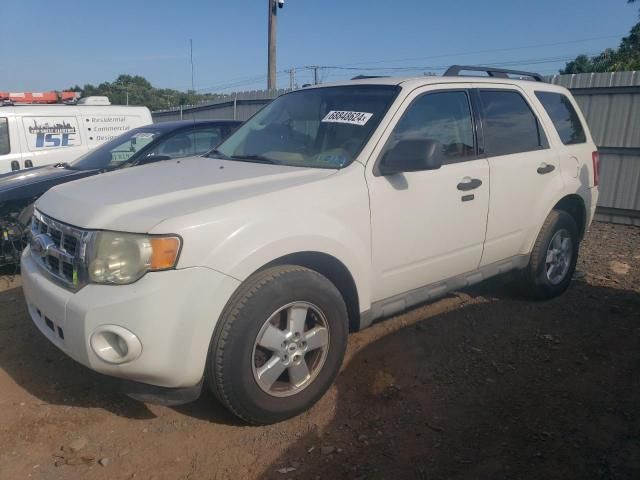 2009 Ford Escape XLT