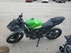 2025 Kawasaki EX500 H