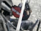 2024 Harley-Davidson Flhx