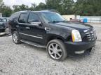2012 Cadillac Escalade Luxury