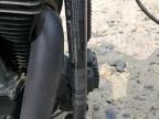 2017 Harley-Davidson Fxdb Dyna Street BOB