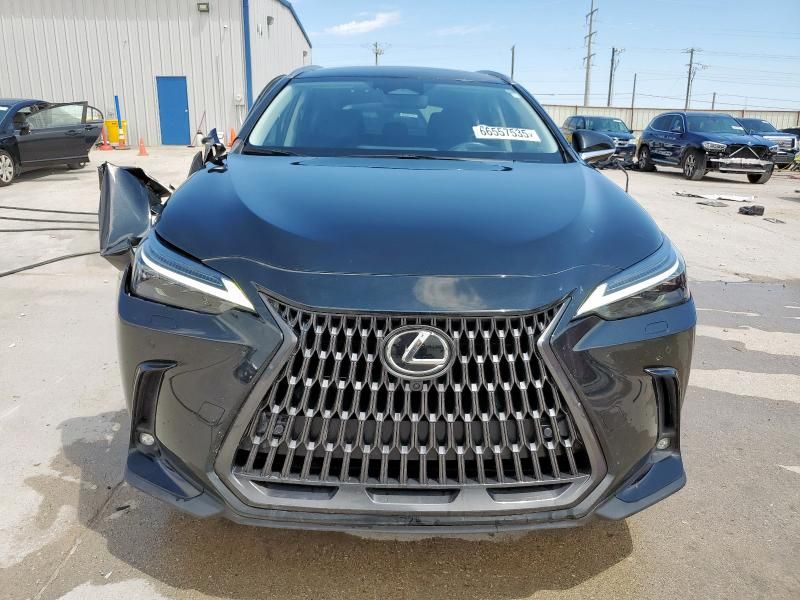 2024 Lexus NX 350H Base