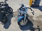 1996 Harley-Davidson Flstf