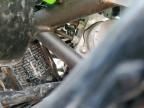 2024 Kawasaki EX650 P