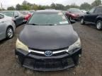 2015 Toyota Camry Hybrid