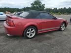 2000 Ford Mustang gt