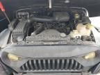 2001 Jeep Wrangler / TJ SE