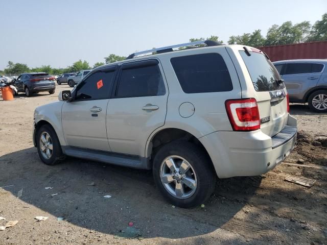 2009 Ford Escape Limited