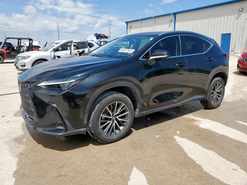 2024 Lexus NX 350H Base