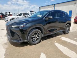 2024 Lexus NX 350H Base for sale in Haslet, TX