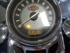 2013 Harley-Davidson Flstc Shrine
