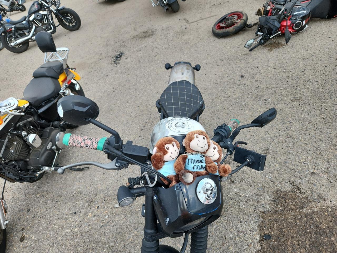 2024 Honda CMX500 A2