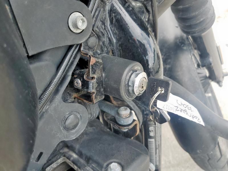 2022 Harley-Davidson XL883 N