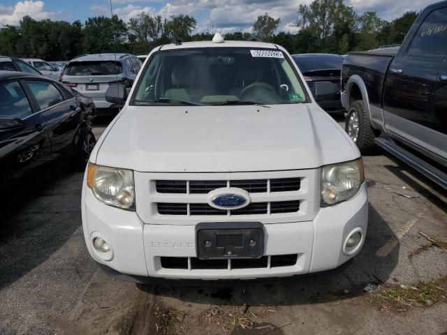 2011 Ford Escape Hybrid