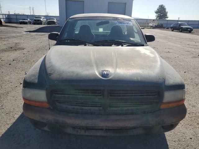2000 Dodge Dakota