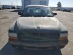 2000 Dodge Dakota