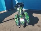 2005 Harley-Davidson Fltri