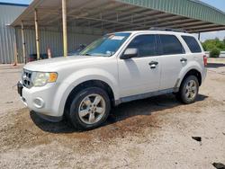 Ford Vehiculos salvage en venta: 2011 Ford Escape xlt