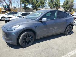 Tesla Model y Vehiculos salvage en venta: 2023 Tesla Model Y