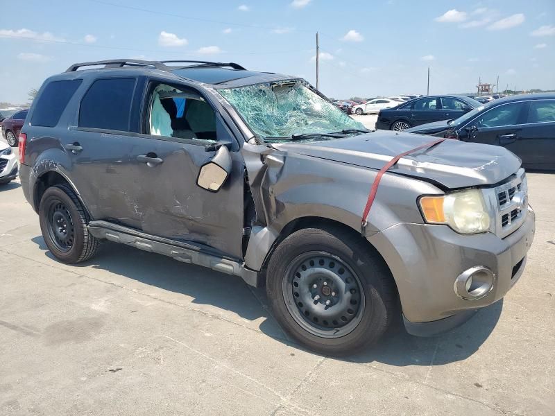 2012 Ford Escape XLT