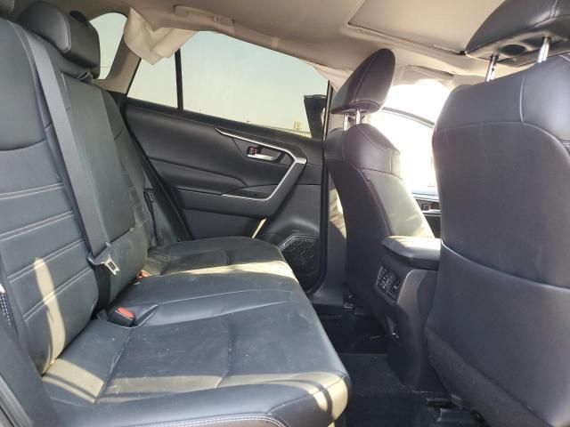 2023 Toyota Rav4 xle Premium