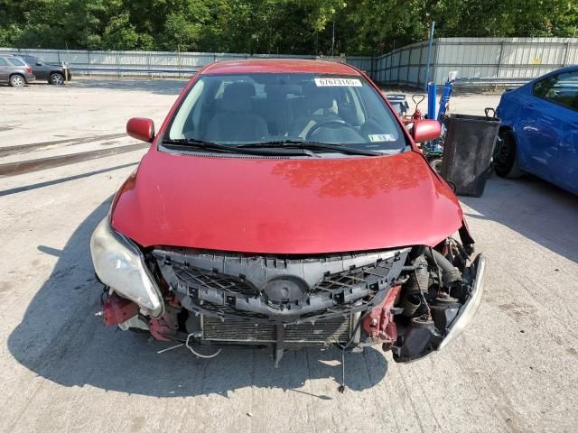 2011 Toyota Corolla Base