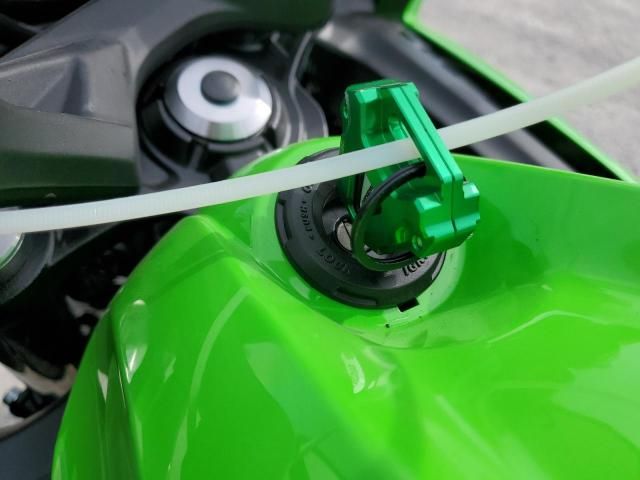 2025 Kawasaki EX650 P