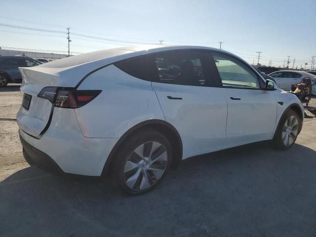 2020 Tesla Model Y