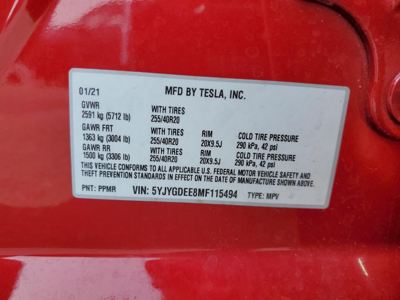 2021 Tesla Model y