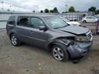 2014 Honda Pilot ex