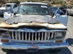 1984 Jeep Jeep Truck J10