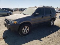 2005 Ford Escape XLT for sale in Sacramento, CA