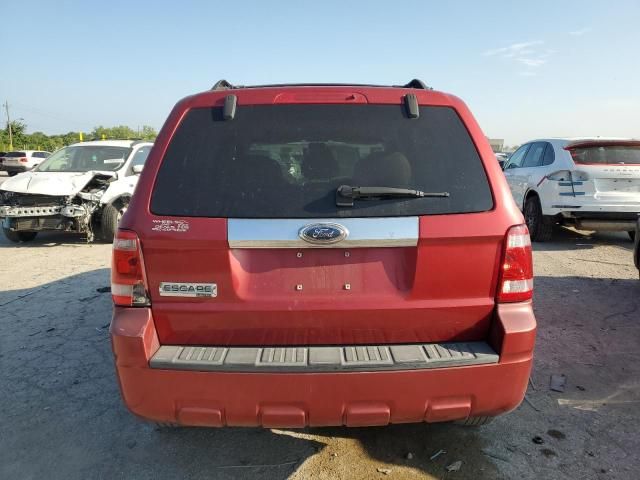 2008 Ford Escape Limited