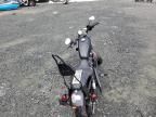 2022 Harley-Davidson XL883 N