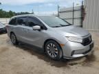 2021 Honda Odyssey EXL