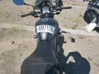 2023 Triumph Trident 660