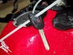 2024 Honda CRF1100 D