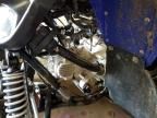 2025 Yamaha YFM110 Raptor