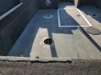 2014 Star Starweld